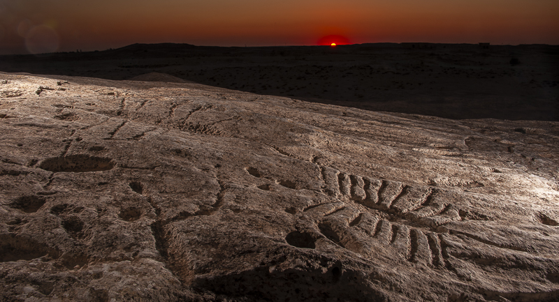 Qatar petroglyphs